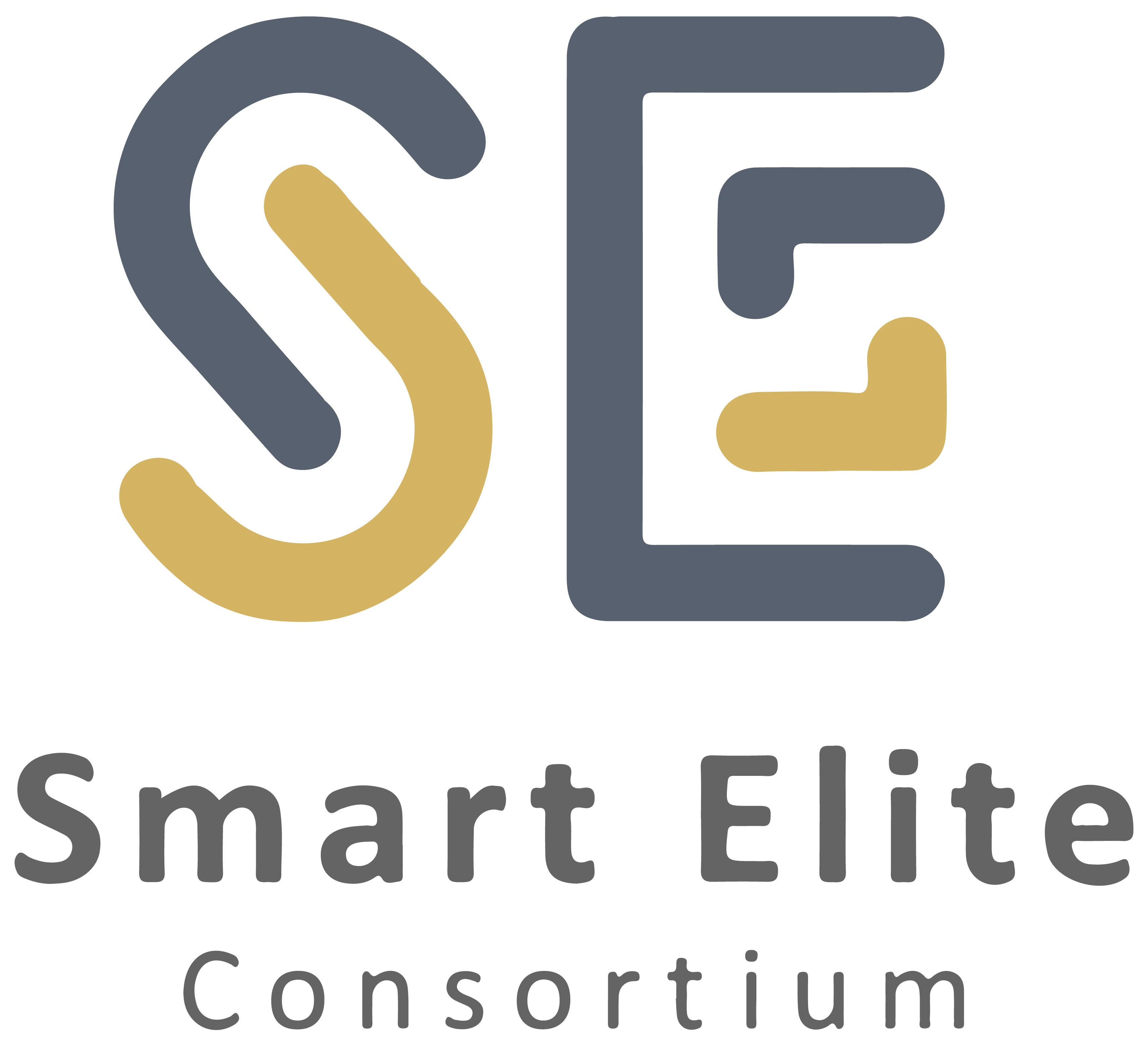 Smart Elite Consortium